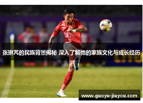 张琳芃的民族背景揭秘 深入了解他的家族文化与成长经历 张琳芃的民族背景揭秘 深入了解他的家族文化与成长经历