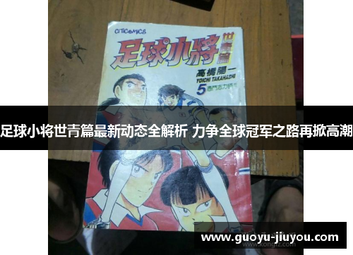 足球小将世青篇最新动态全解析 力争全球冠军之路再掀高潮