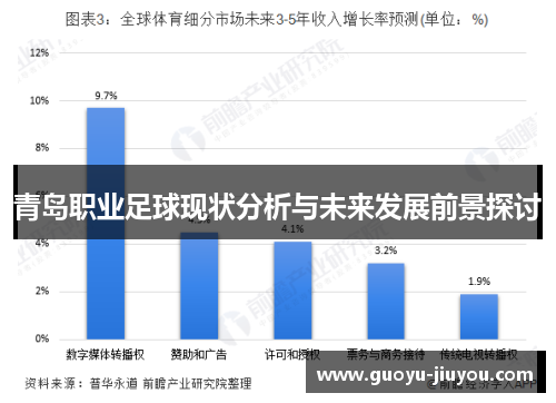 青岛职业足球现状分析与未来发展前景探讨 青岛职业足球现状分析与未来发展前景探讨