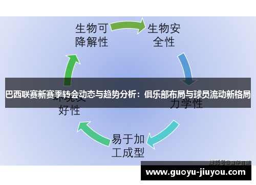 巴西联赛新赛季转会动态与趋势分析：俱乐部布局与球员流动新格局