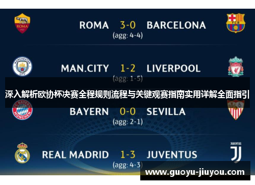 深入解析欧协杯决赛全程规则流程与关键观赛指南实用详解全面指引