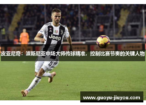 皮亚尼奇：波斯尼亚中场大师传球精准，控制比赛节奏的关键人物