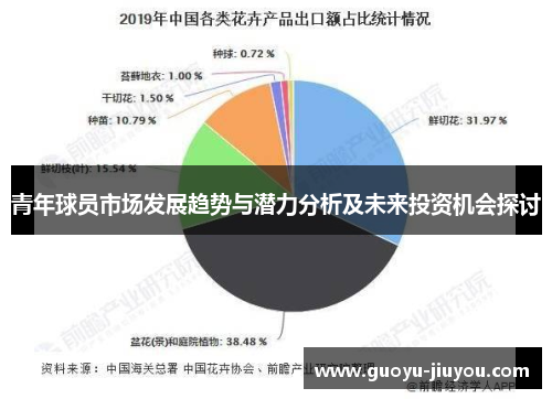青年球员市场发展趋势与潜力分析及未来投资机会探讨